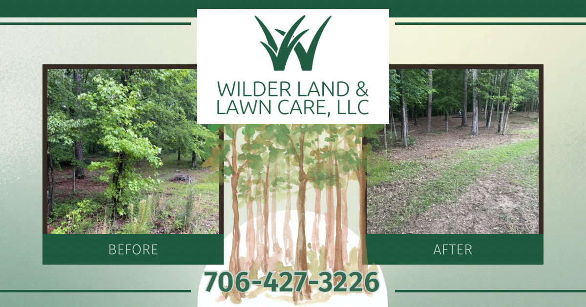 Before and after — tangled brush cleared into a tidy wooded lot
