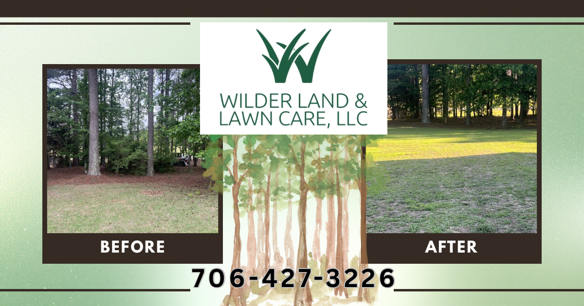 Before and after — leaf-covered yard transformed into a freshly mowed lawn