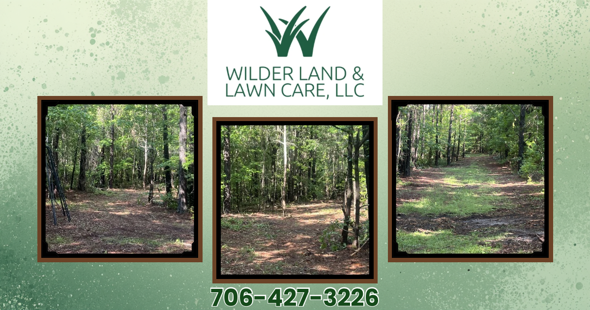 Property clearing — three views of land cleared and tidied